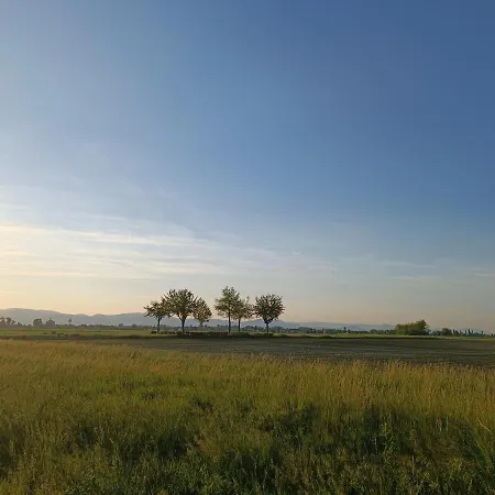 Le D'edouard * Urschenheim